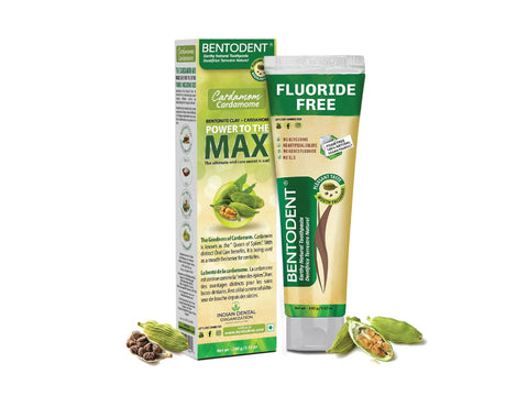 Bentodent Earthy Natural Toothpaste 100g