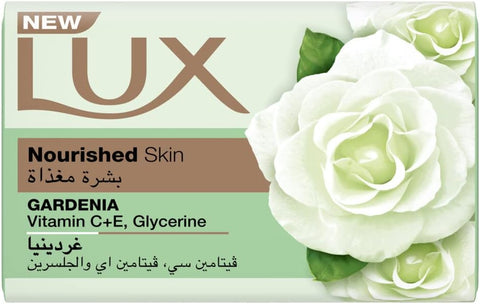Lux Nourished Skin 170g