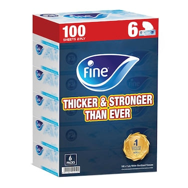 Boutique Facial Tissue 100 sheets